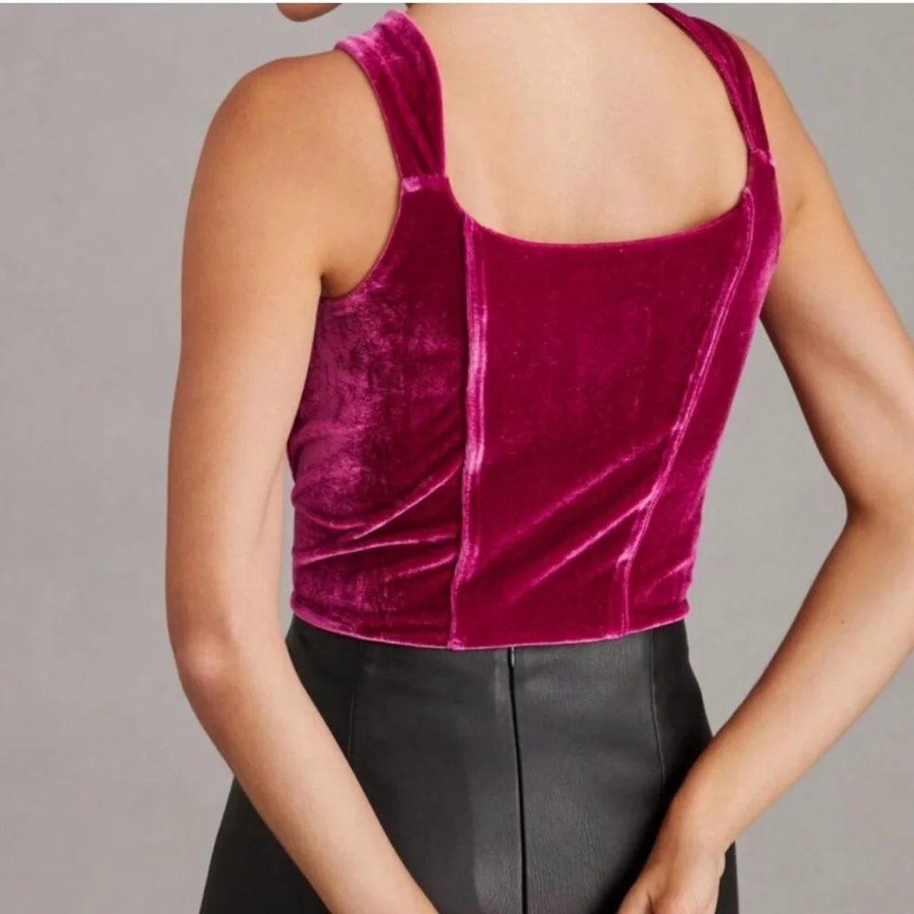 Anthropologie Velvet Corset Top - Small - Picture 4 of 10